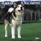 Alaskan Malamute 2005 Wall Calendar