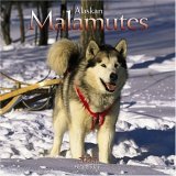 Alaskan Malamute 2006 Wall Calendar