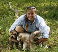Hudson's Malamutes - Sparkle and Tooter - Jolene with puppies prior to filming