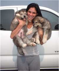 Hudson's Malamutes - Christian Pitre (Adult Sparkle)  with Hudson's puppies at the movie Sparkle and Tooter