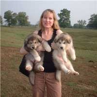 Hudson's Malamutes - Sparkle's movie mom before makeup with puppies at the movie Sparkle and Tooter