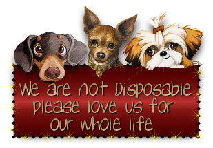Hudons Malamutes - We are not disposable, please love us our whole lives